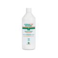 Germocid Geurloos - Fles 1 l