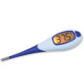 Gima Bl3 Breedbeeld Digitale Thermometer °c - Hangdoos