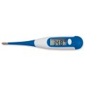 Jumbo Digitale Thermometer °C RECTAAL/ORAAL - Hangdoos