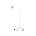 MS LED Flex Plus Lamp - Trolley