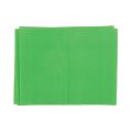 Latexvrij Trainings Elastiek 1.5 m x 14 cm (0.25 mm (Groen))
