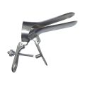 S.s. Cusco Speculum (Medium)